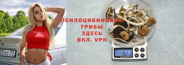 амф Богородицк