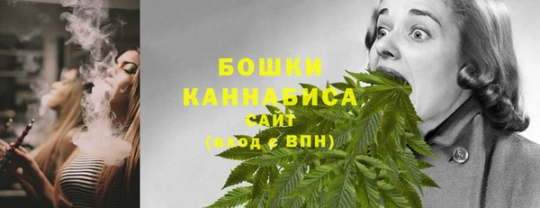 mdpv Бородино
