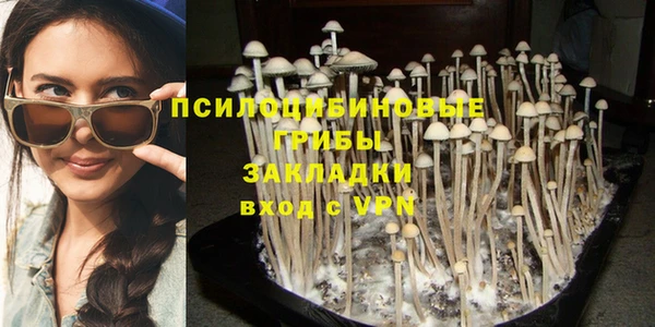 тгк Бугульма