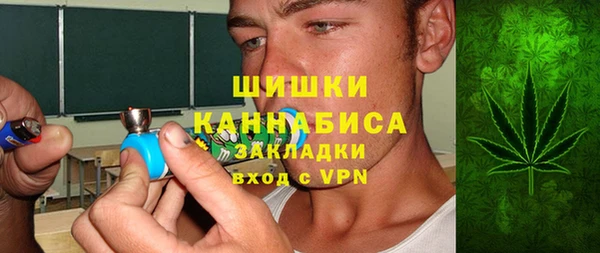 mdpv Бородино