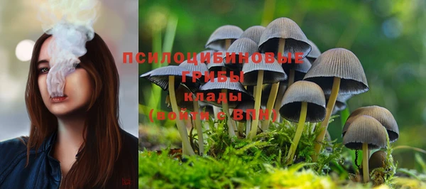 соль курить ск Бронницы