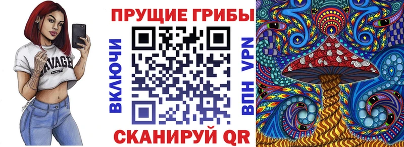 Галлюциногенные грибы GOLDEN TEACHER  Купить закладки  Мглин 